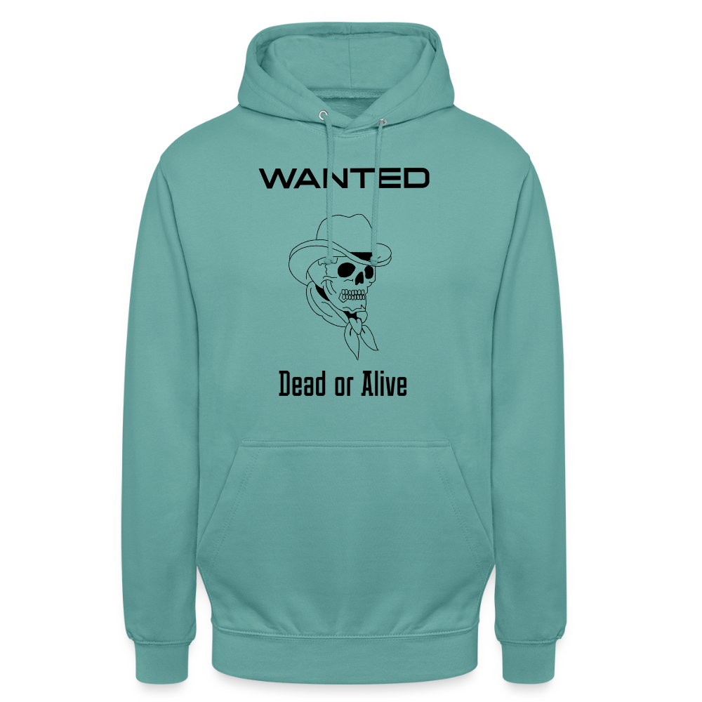 Unisex Outlaw  Hoodie - pastel turquoise